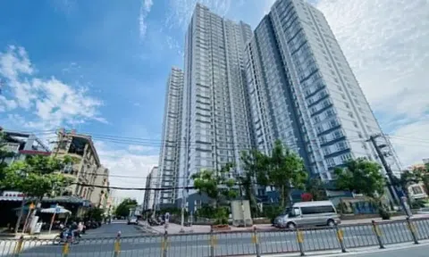 Mua nhà ở xã hội TP.HCM, nhiều người sập bẫy công ty môi giới