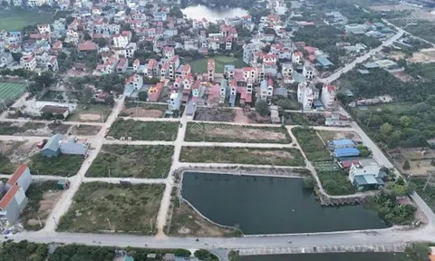 Đất trúng đấu giá huyện vùng ven Hà Nội hạ nhiệt, cao nhất 77 triệu đồng/m2
