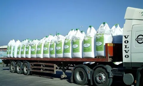 Hàng trăm nghìn tấn báu vật từ Việt Nam liên tục đổ bộ Hàn Quốc: xuất khẩu tăng hơn 200%, Trung Quốc hạn chế khiến cả thế giới khan hàng