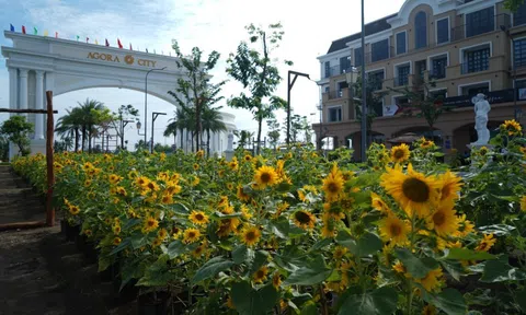 Agora City - Tâm điểm kết nối, mở lối thịnh vượng phía Tây Thành phố Hồ Chí Minh