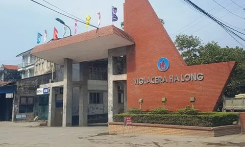 Đầu tư kém hiệu quả góp phần khiến Viglacera Hạ Long chìm trong thua lỗ