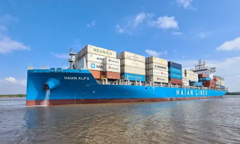 Hưởng lợi từ giá cước thuê tàu, Vận tải và Xếp dỡ Hải An lãi hơn 800 tỷ đồng trong năm 2024