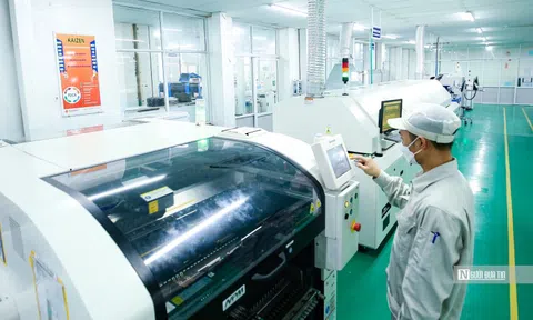 Bóng đèn Phích nước Rạng Đông: Tăng trưởng chạm đáy, không hoàn thành kế hoạch năm