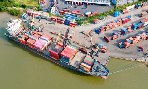 Doanh thu năm 2024 của Vosco cao kỷ lục