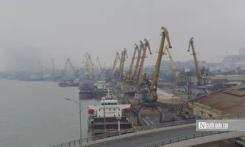 Cảng Hải Phòng ôm nghìn tỷ gửi ngân hàng