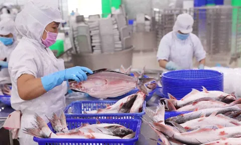 Bứt phá quý cuối năm, Vĩnh Hoàn báo lãi cao nhất 6 quý