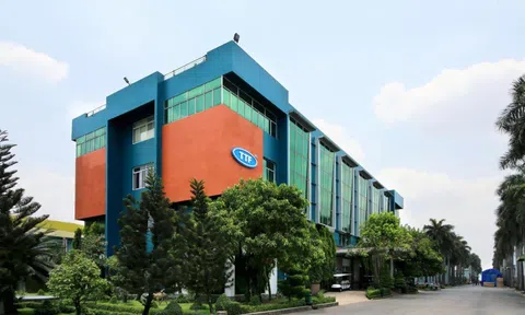 Gỗ Trường Thành thoát lỗ nhờ chứng khoán