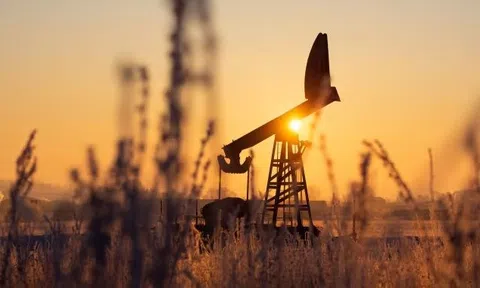 Một quốc gia BRICS tuyên bố vẫn mua dầu Nga với giá dưới 60 USD - Nga tự tin khẳng định lệnh trừng phạt 'không ảnh hưởng'