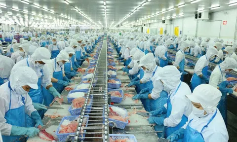 Vĩnh Hoàn thế chấp bất động sản để vay hơn 2.000 tỷ đồng