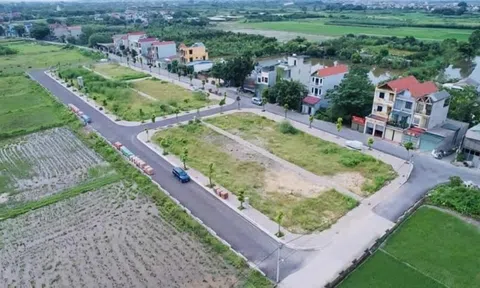 Hà Nội đấu giá lại 54 lô đất từng được trả 100 triệu/m2 rồi bỏ cọc