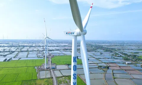 Loạt doanh nghiệp bị xử phạt thuế