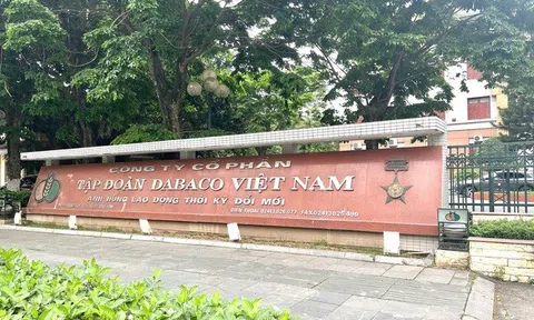 Dabaco còn 623 tỷ đồng vốn huy động chưa được giải ngân