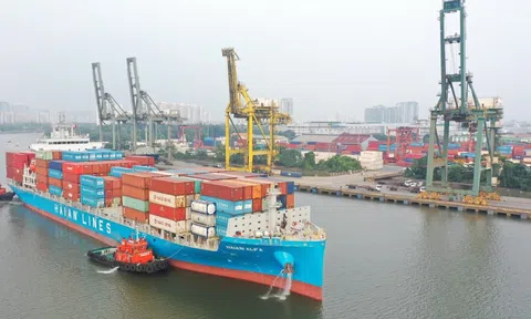 Vận tải và Xếp dỡ Hải An muốn phát hành cổ phiếu để chuyển đổi trái phiếu