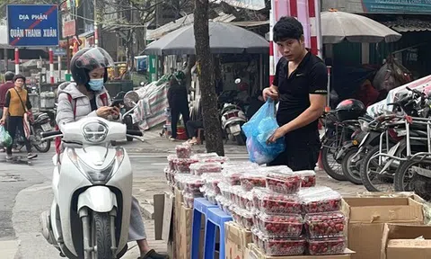 Dâu tây 'rẻ như bèo' tràn ngập Hà Nội