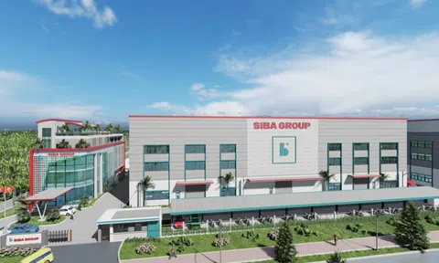 Người phụ trách quản trị tại Siba Group thoái sạch vốn công ty