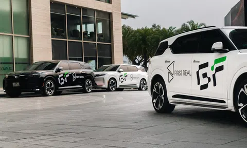 Tiết lộ tình hình tài chính doanh nghiệp đưa 1.000 xe điện VinFast vào phục vụ du lịch xanh ở Đà Nẵng