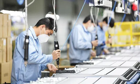 Thủ tướng chỉ thị thúc đẩy phát triển doanh nghiệp nhỏ và vừa