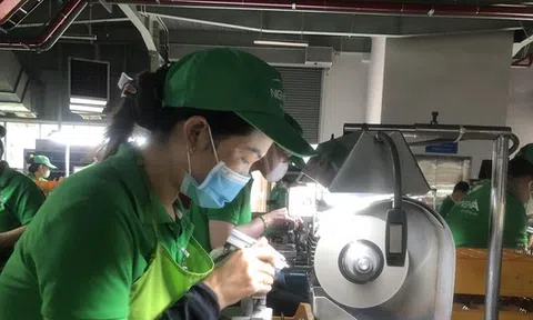 Doanh nghiệp xuất khẩu ứng biến