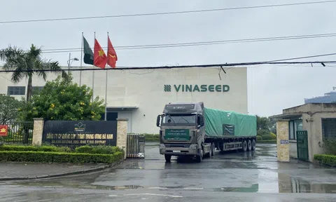 Tham vọng "lập đỉnh" lợi nhuận của Vinaseed