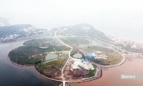 Cận cảnh đảo Hoa Phượng 60ha “đắp chiếu” chờ giải cứu