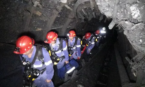 Chi phí quản lý tăng cao "kìm hãm" lợi nhuận của Than Mông Dương