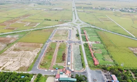 Nhiều nơi đấu giá đất sau Tết