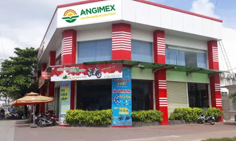 Angimex bị phong tỏa tài khoản ngân hàng