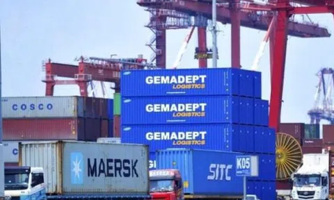 Lãnh đạo Gemadept sắp chi hàng chục tỷ đồng "cứu giá" cổ phiếu