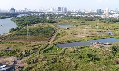 Tin mới về dự án của Vạn Thịnh Phát liên quan Quốc Cường Gia Lai