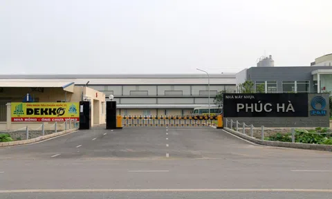 Tập đoàn Dekko bị xử phạt 92,5 triệu đồng