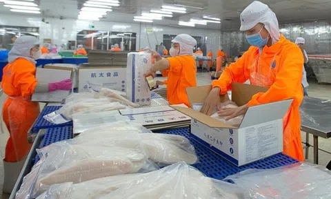 Thủy sản Nam Việt: Con bị bán giải chấp cổ phiếu, cha xuống tiền "cứu giá"