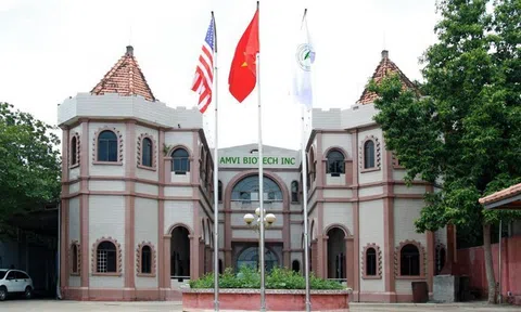 Y tế Việt Mỹ: Công ty mẹ thụt lùi, công ty con thua lỗ