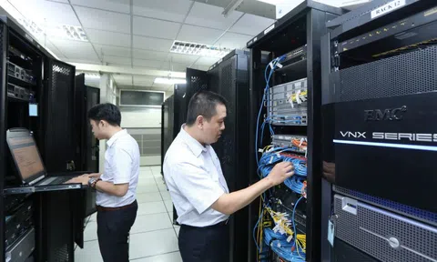 Từ trải nghiệm nội bộ đến tư duy 'sống còn' của doanh nghiệp