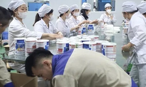 Danh sách 9 công ty trong đường dây sản xuất gần 600 loại sữa giả