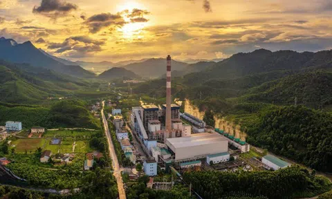 Điện lực TKV đặt mục tiêu lợi nhuận khiêm tốn trong năm 2025