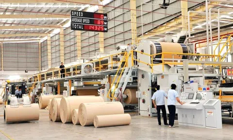 Đông Hải Bến Tre muốn hủy kế hoạch chào bán cổ phiếu