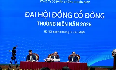 Chủ tịch BSC chỉ ra 4 nhóm ngành ít chịu tác động trực tiếp từ thuế quan