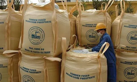 Phân lân Văn Điển đặt mục tiêu lợi nhuận đi lùi trong năm 2025