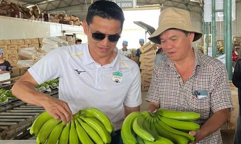 Cổ phiếu của HAGL vẫn bị cảnh báo vì lỗ lũy kế