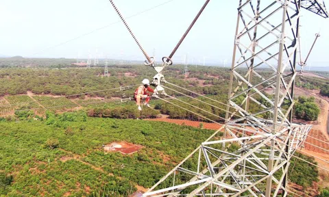 PTC3 Diễn tập PCTT vàTKCN - Ứng cứu khẩn cấp năm 2025