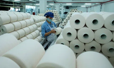 Bán cổ phiếu quỹ không đúng theo báo cáo, Sợi Thế kỷ bị UBCKNN xử phạt