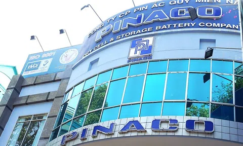 Pinaco bị xử phạt và truy thu thuế hơn 2,2 tỷ đồng