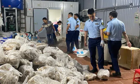 Phát hiện "bí mật khủng" trong hàng trăm chiếc túi nilon tại kho lạnh ở Hà Nội