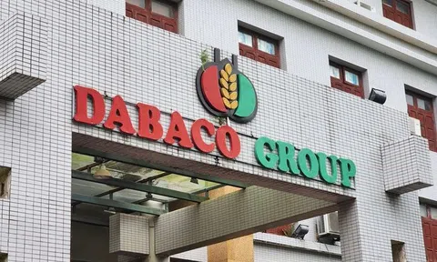 Muốn trở lại mốc lãi 1.000 tỷ đồng, "trùm chăn nuôi" Dabaco kinh doanh ra sao?