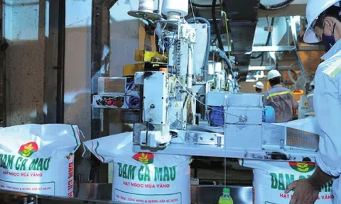 Đạm Cà Mau hoàn thành hơn 50% kế hoạch lợi nhuận năm sau quý I/2025