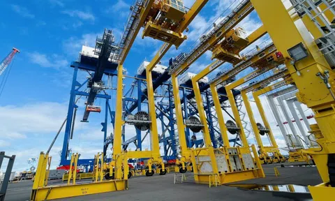 Lãnh đạo Cảng Đà Nẵng nói gì khi lượng tiền mặt lớn?