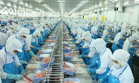 Vĩnh Hoàn tăng trưởng hai chữ số nhờ giá cá tra cải thiện