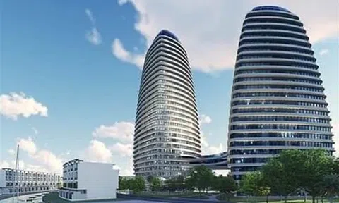 IPA bị phạt vì cho cổ đông Trustlink vay tiền