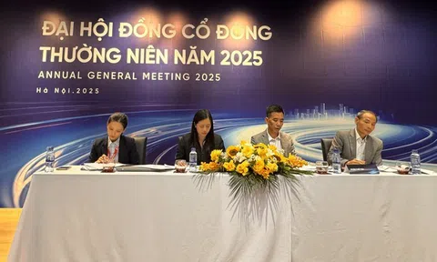 Liệu API có thể thu hồi hơn 140 tỷ đồng từ Apec Group và Du lịch Kim Bôi?