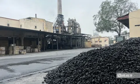 Vinachem, Hoàng Ngân sắp nhận hàng chục tỷ đồng cổ tức từ Phân lân Văn Điển